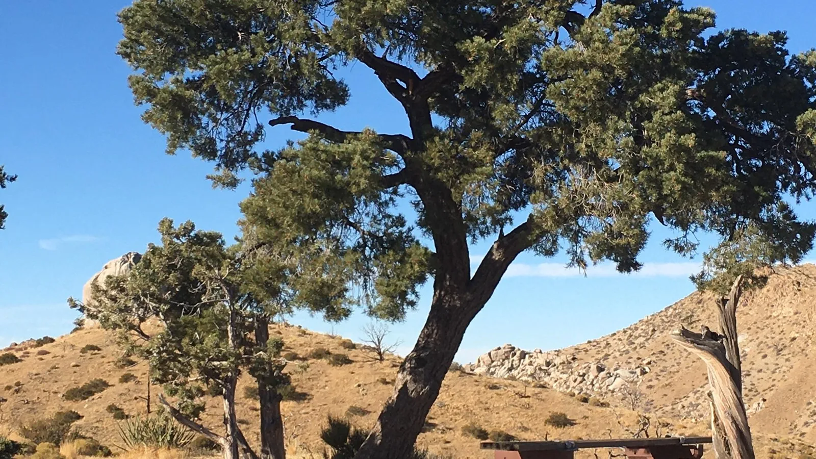 Mid-Hills Campground
