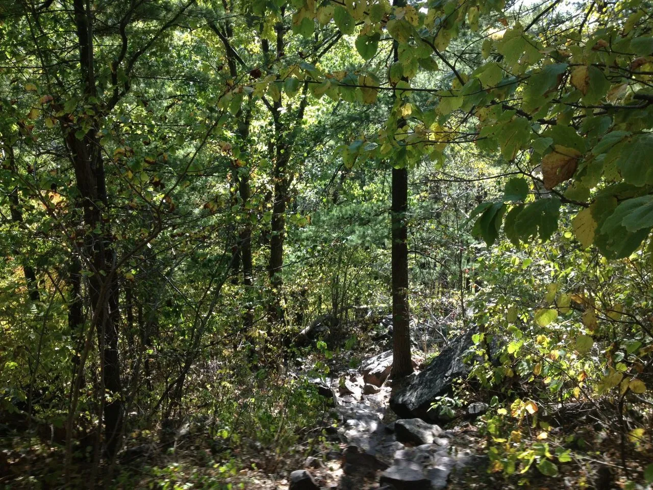 Devil's Lake State Park
