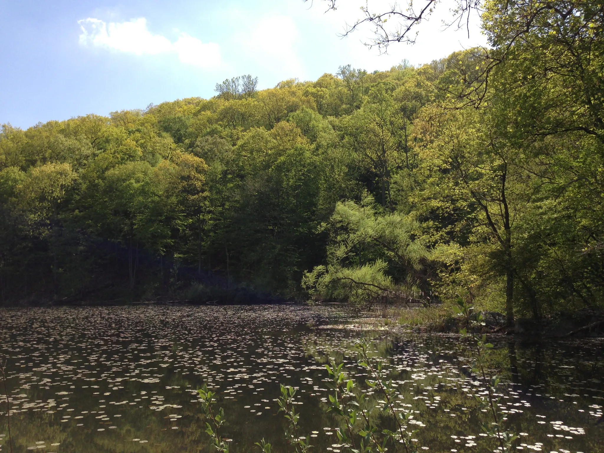 Jenny Jump Campground