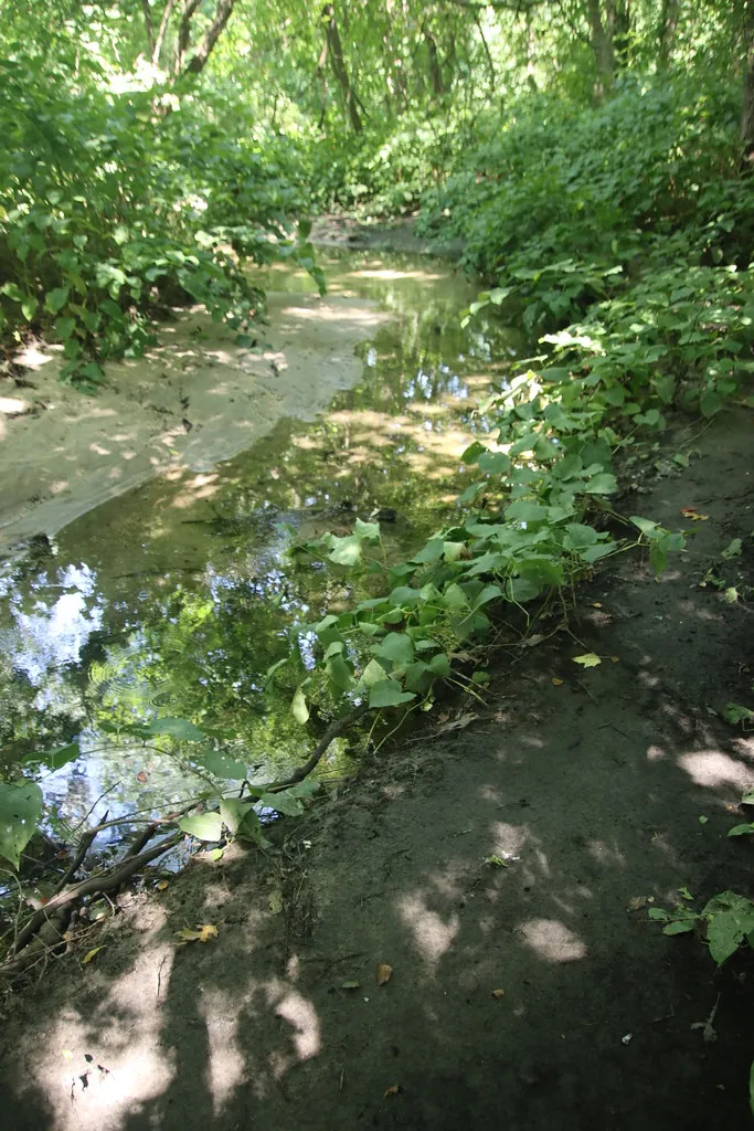 Valley Stream State Park