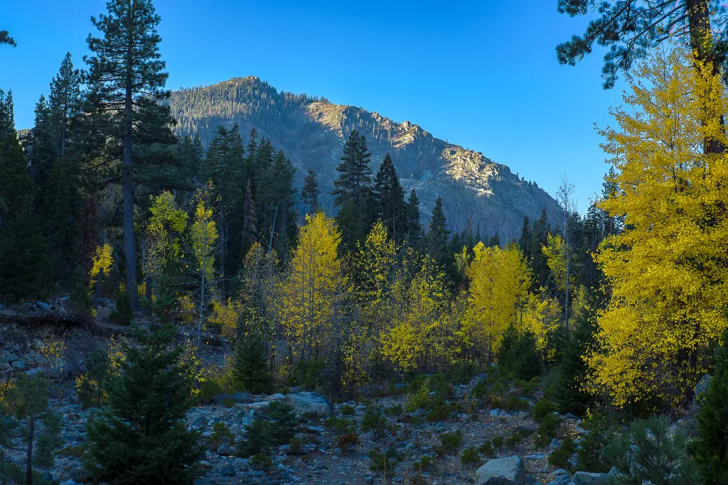 Jamison Creek Campground