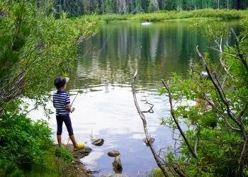 Jackson Creek Campground