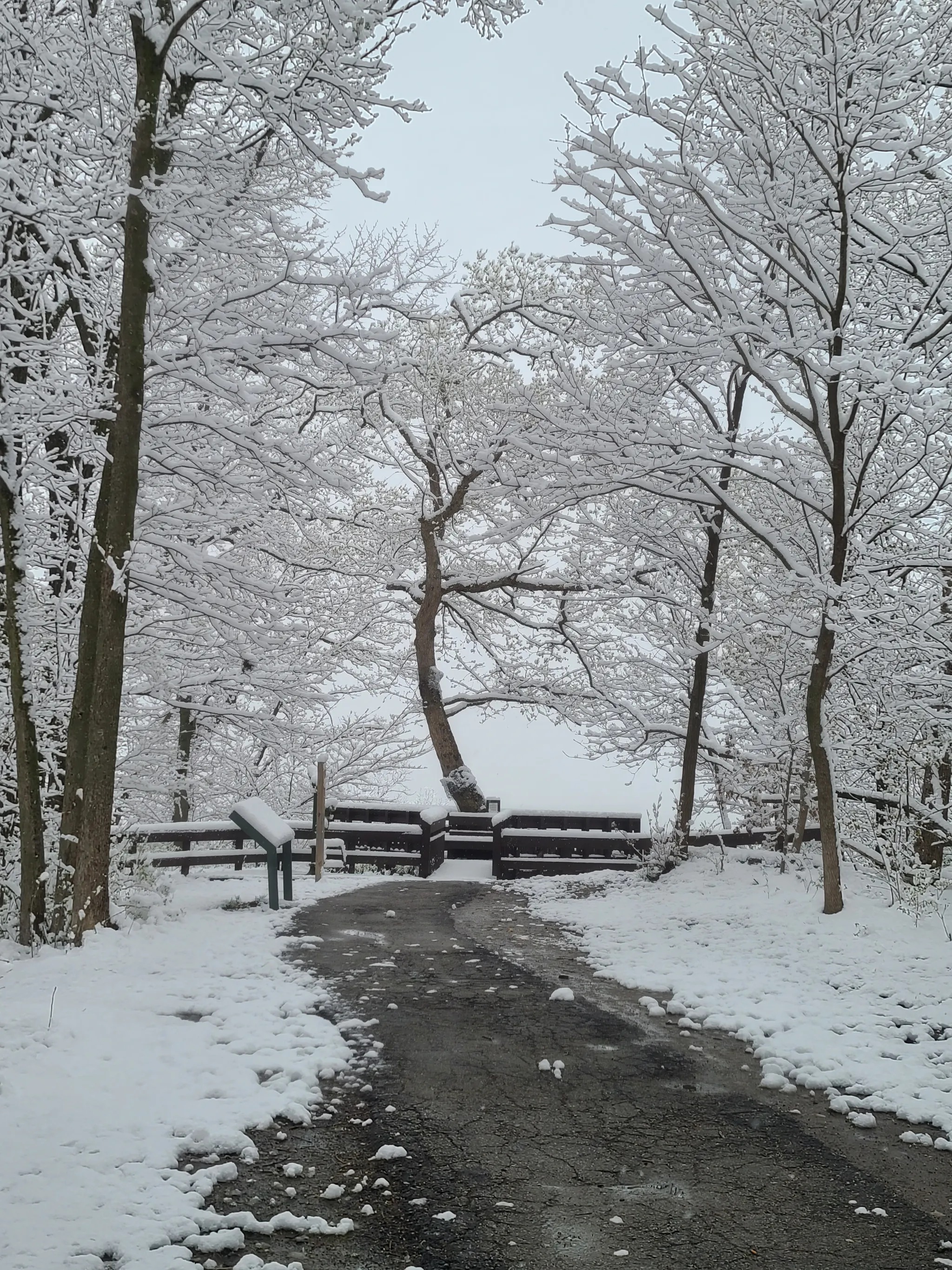 Weston Bend State Park Campground