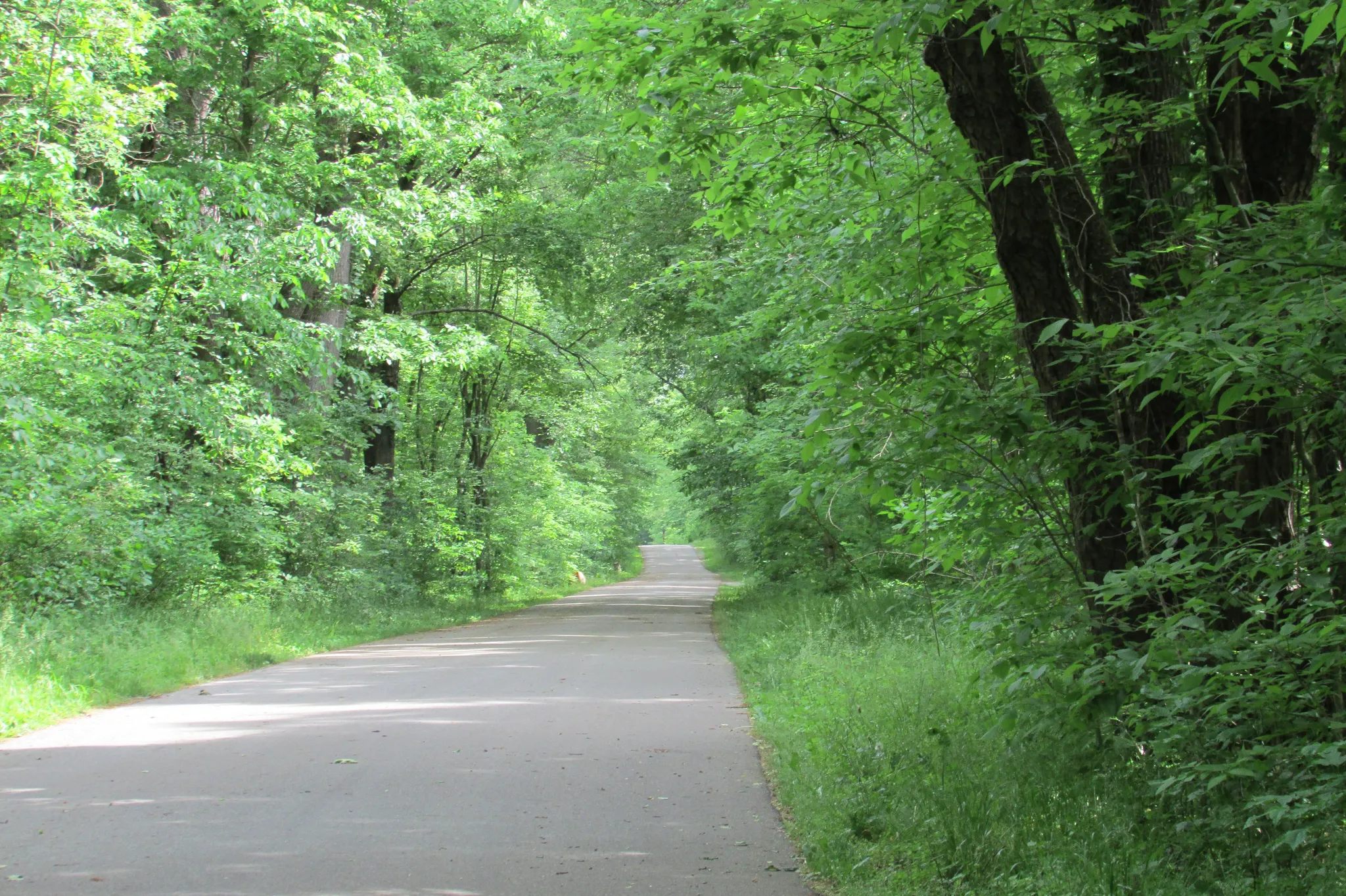 Tippecanoe River State Park