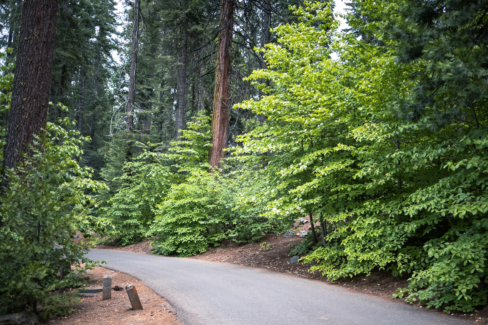North Grove Campground