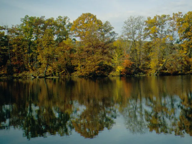 Maurice K Goddard State Park