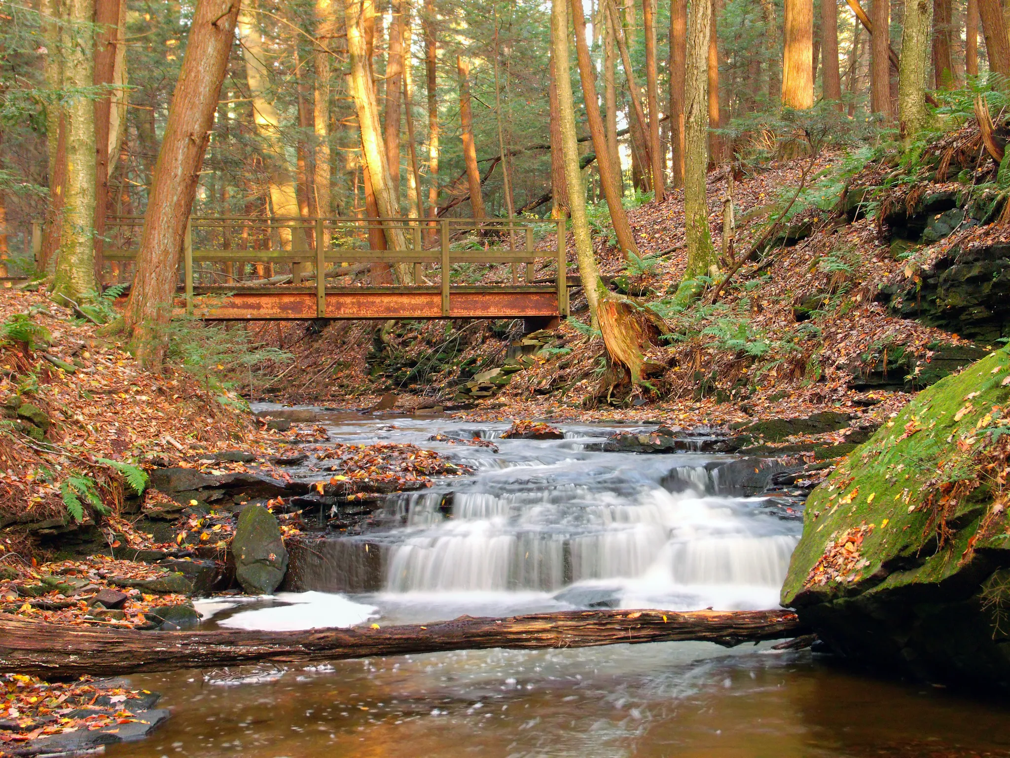 Maurice K Goddard State Park