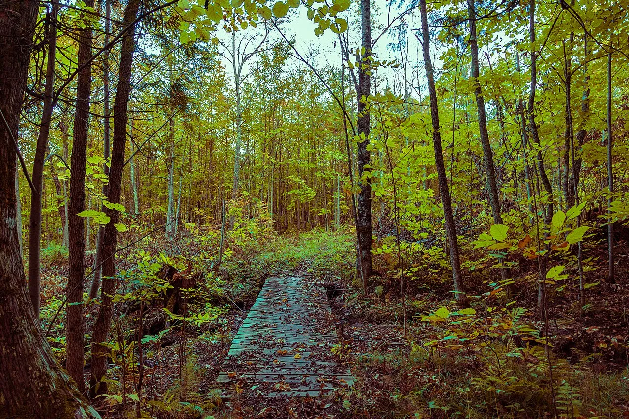 Lake Gogebic Campground
