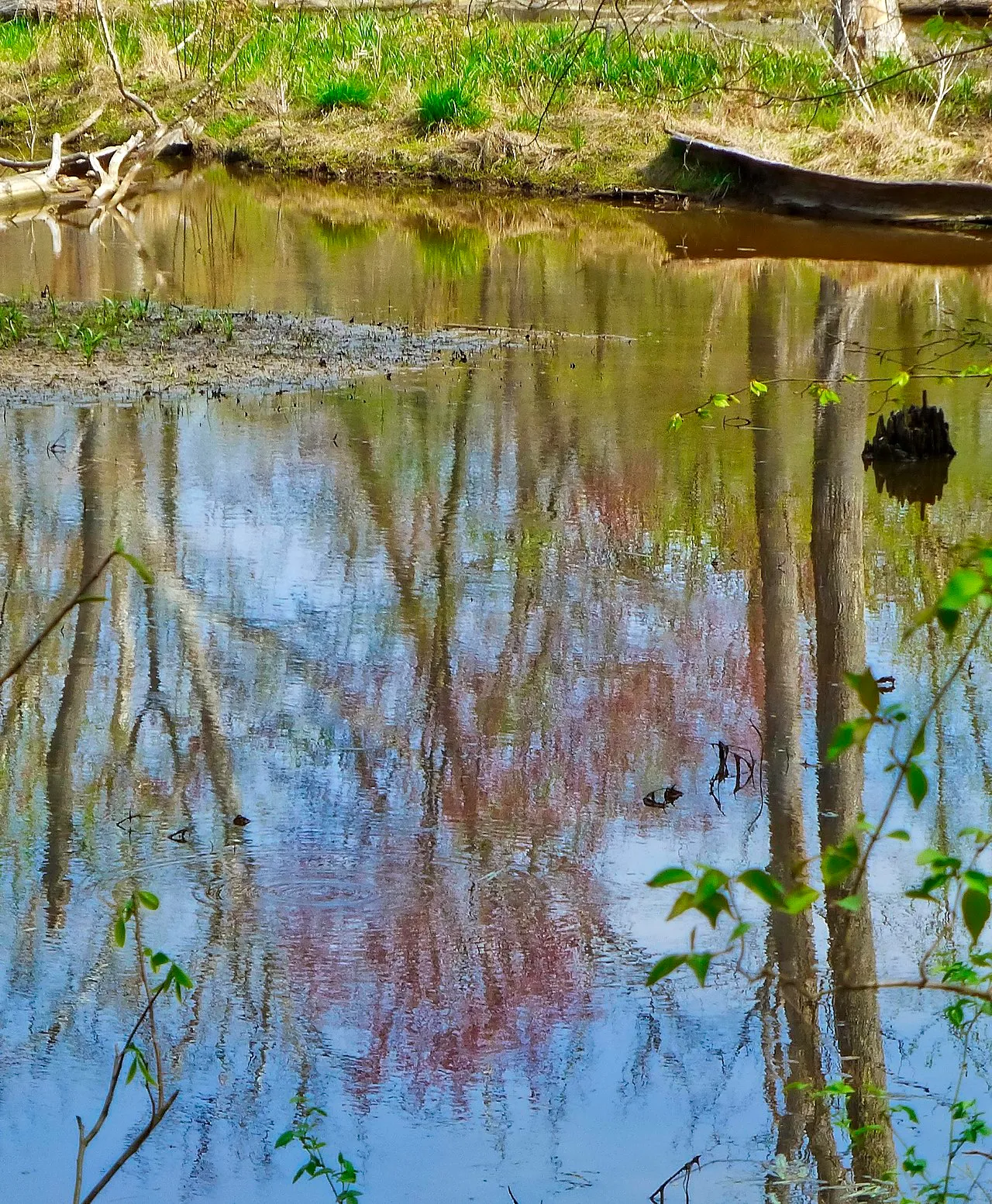 Smallwood State Park