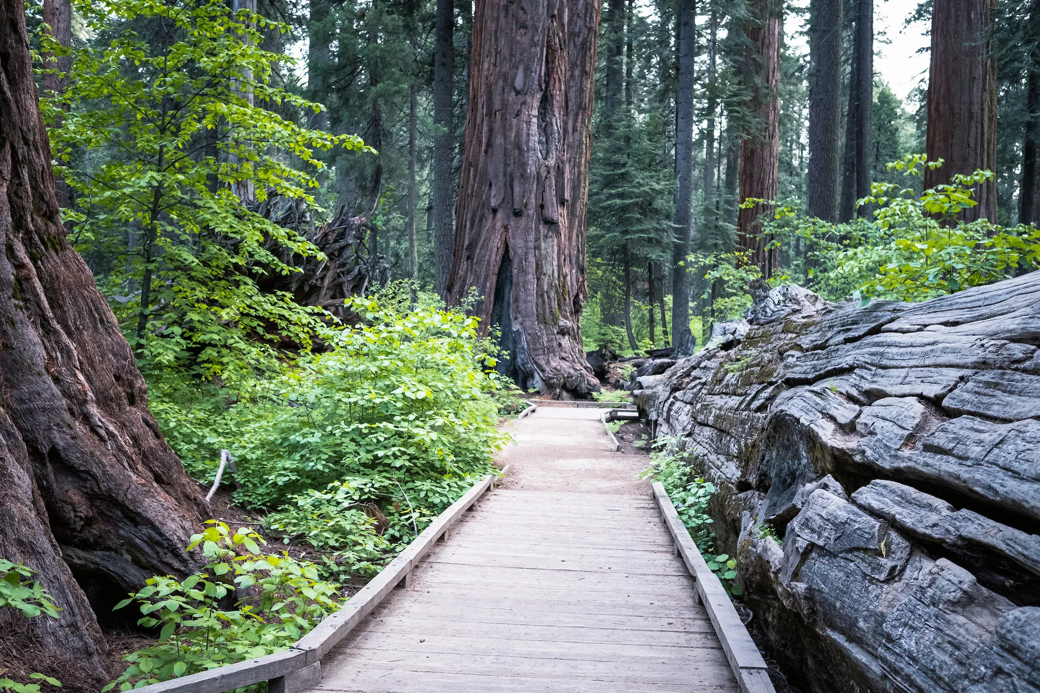 North Grove Campground