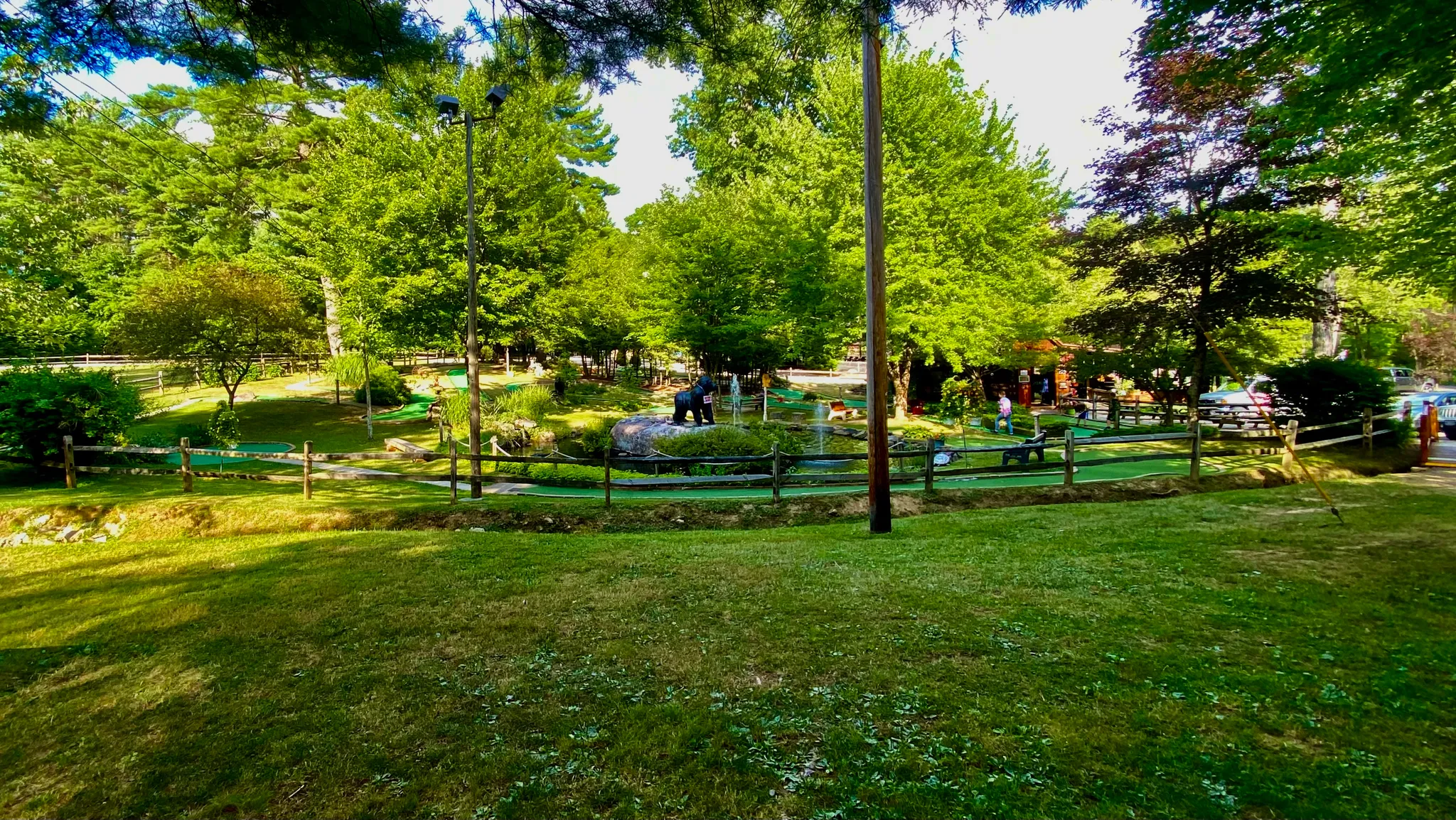Cook Forest State Park