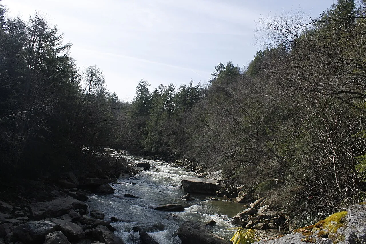 Swallow Falls State Park