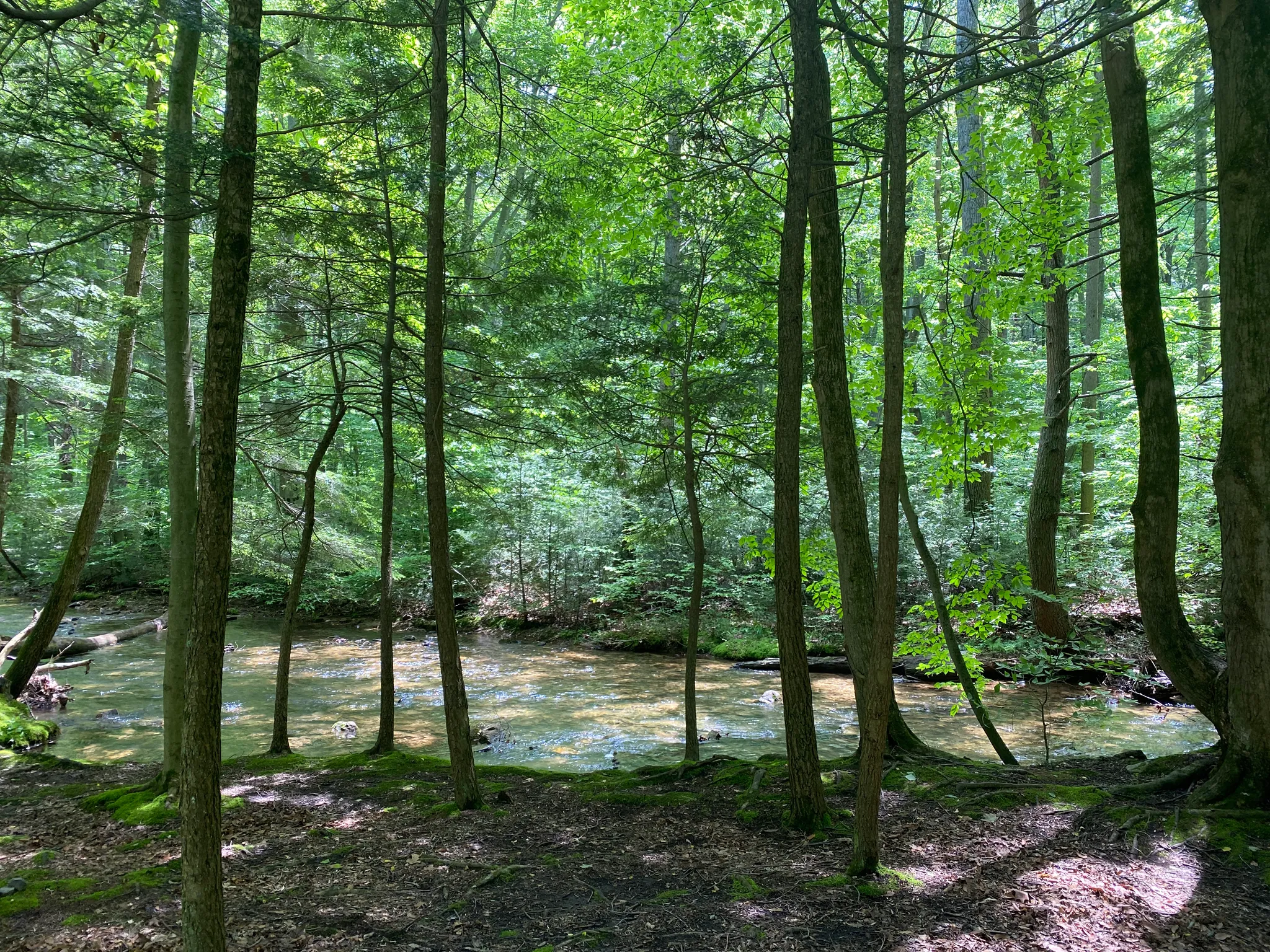 Fowlers Hollow State Park