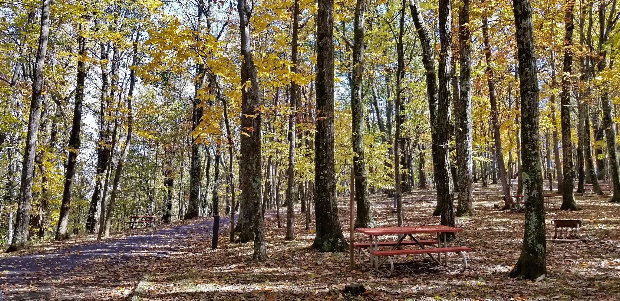 Rocky Knob Campground
