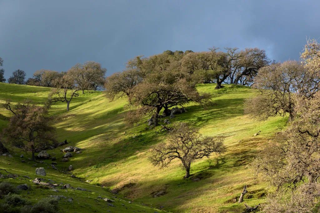 San Luis Creek Campground