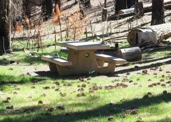 Cedar Camp Campground