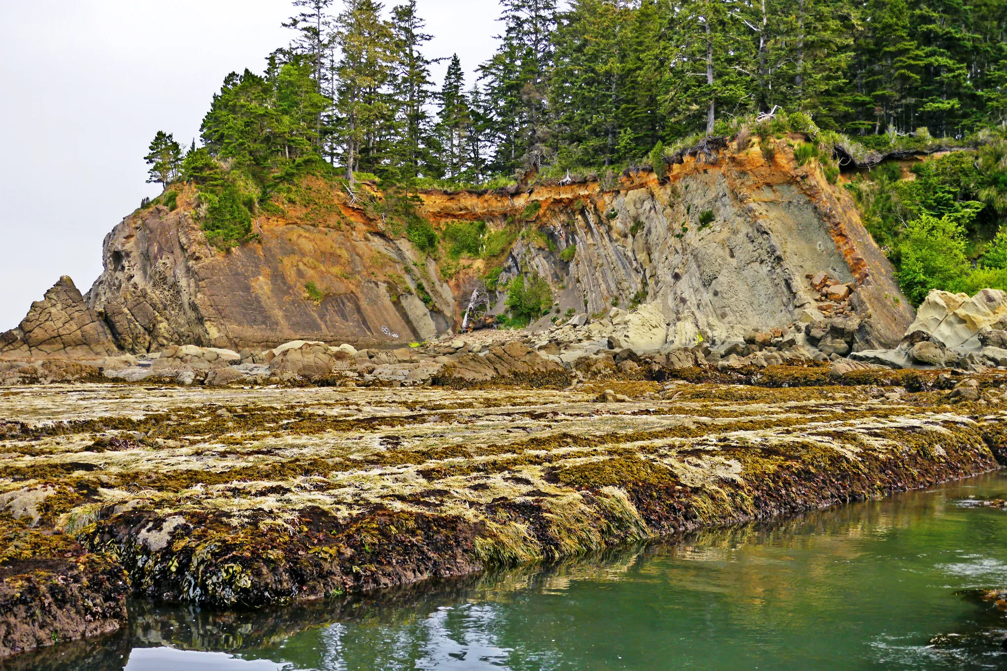 Sunset Bay State Park