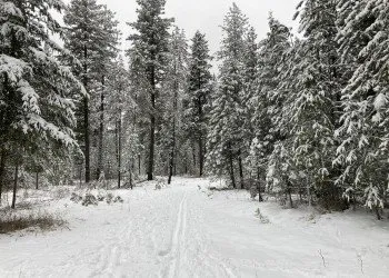 Lake Ellen West Campground