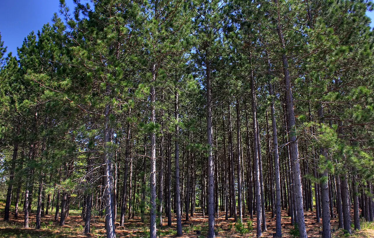 Governor Thompson State Park