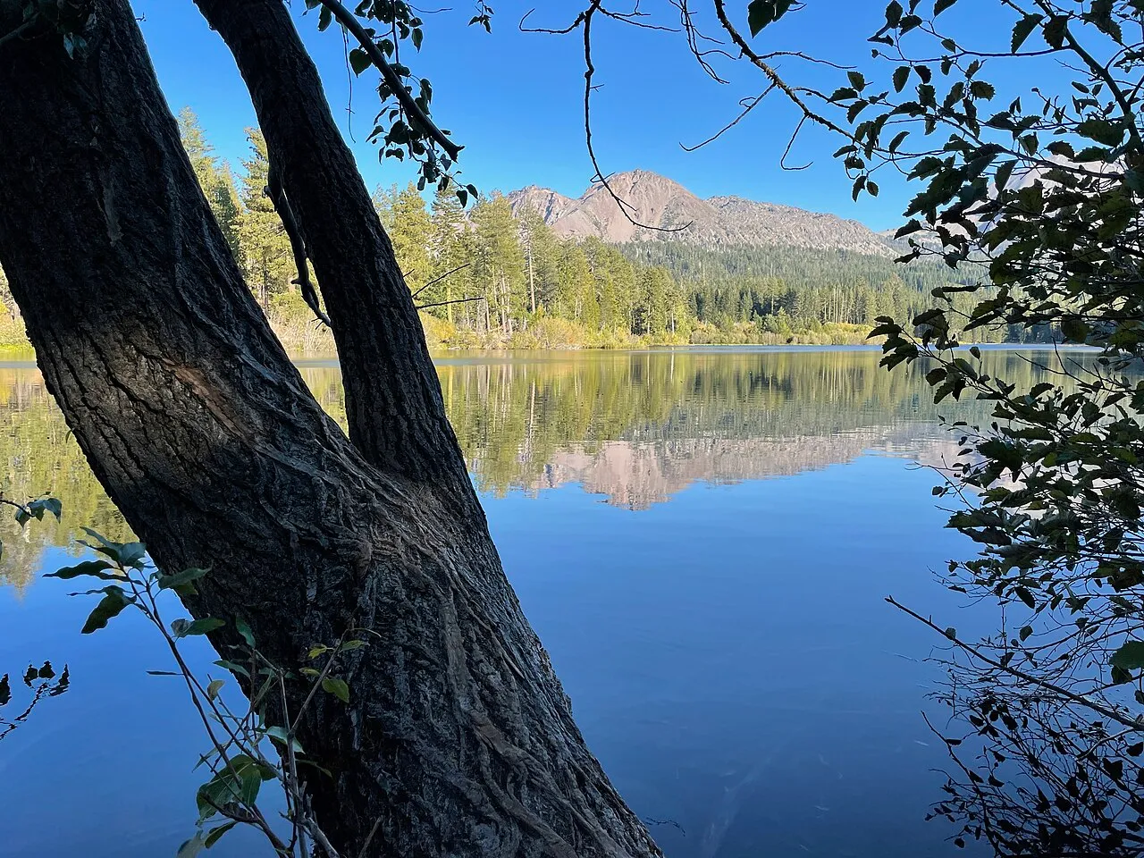 Southwest Campground - Winter/Spring