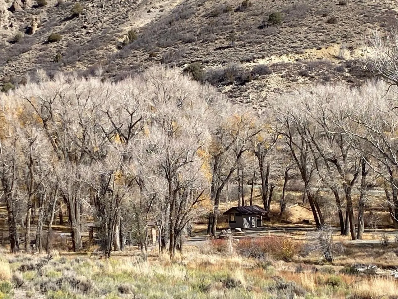 East Elk Creek Group Campsite