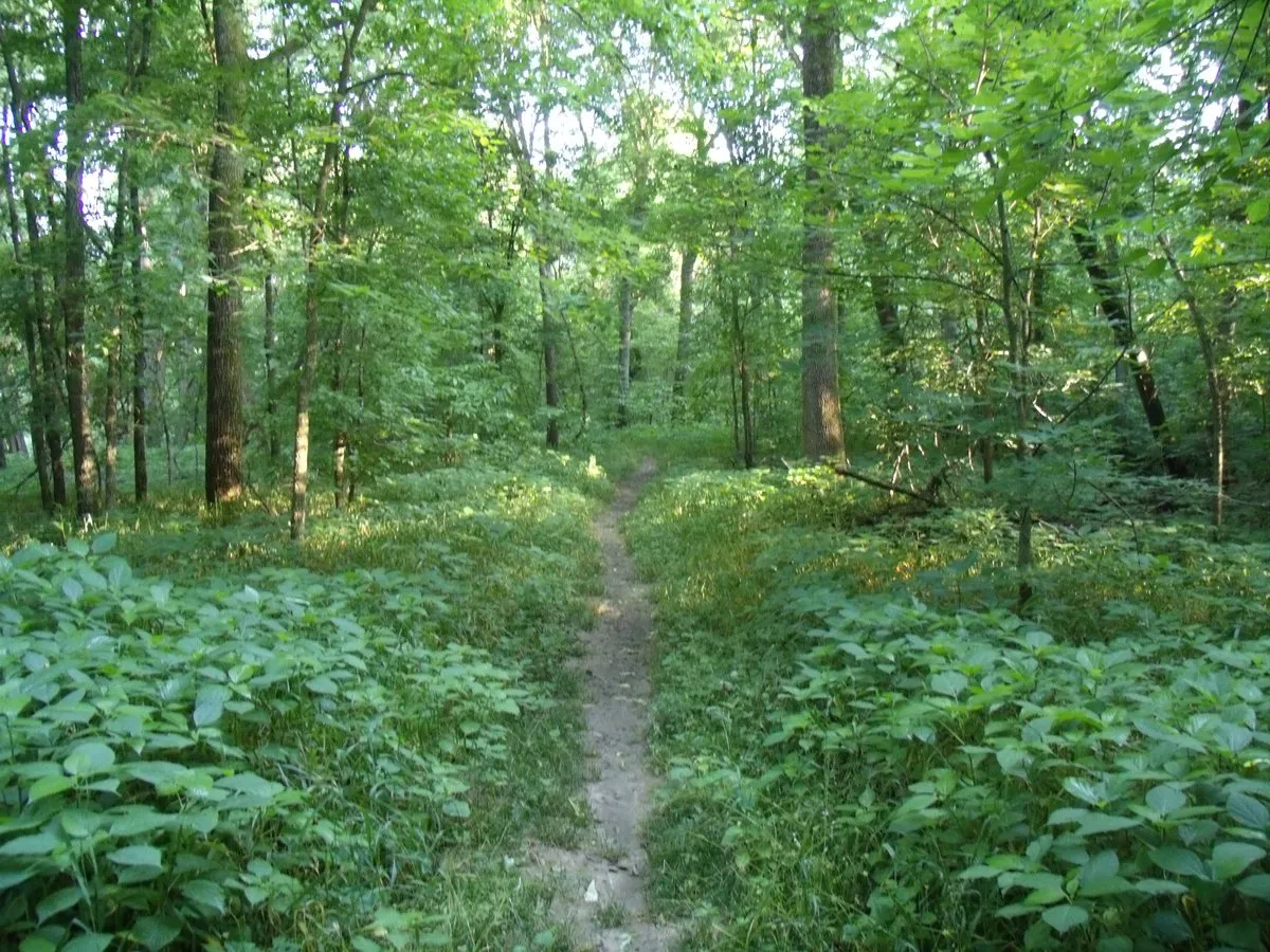 Graham Cave Campground 3