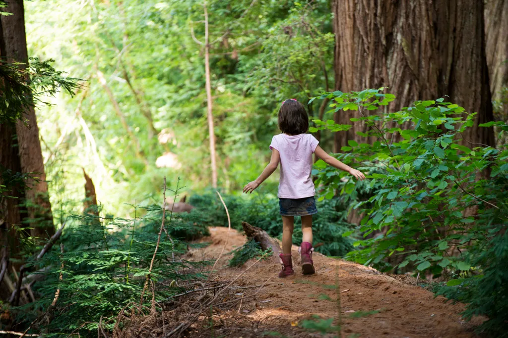 Jedediah Smith Redwoods Campground