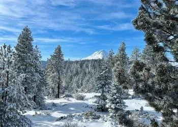 Little Badger Campground