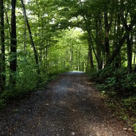 Darien Lakes State Park