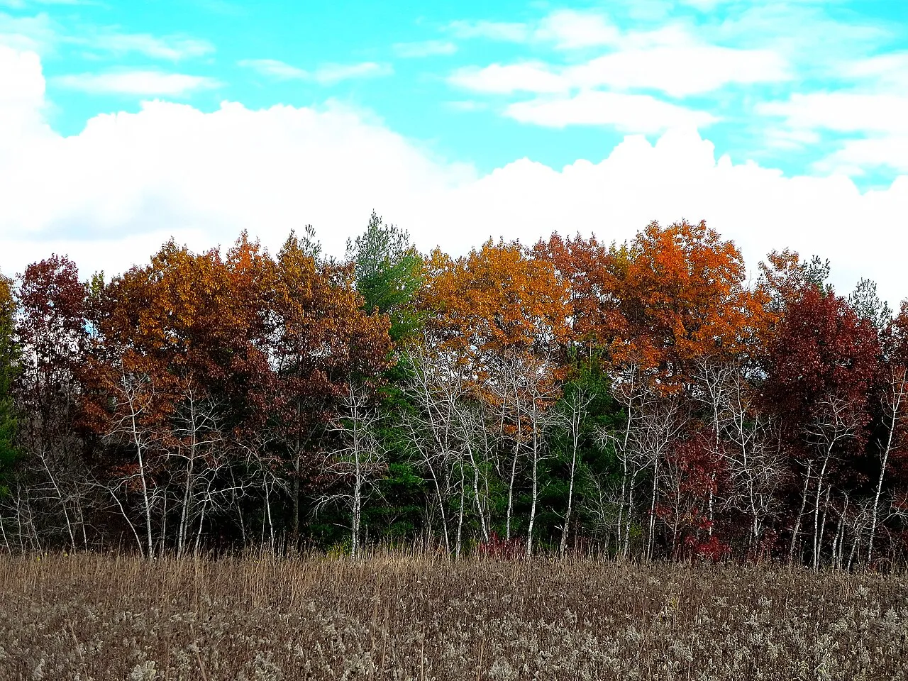 Governor Dodge State Park