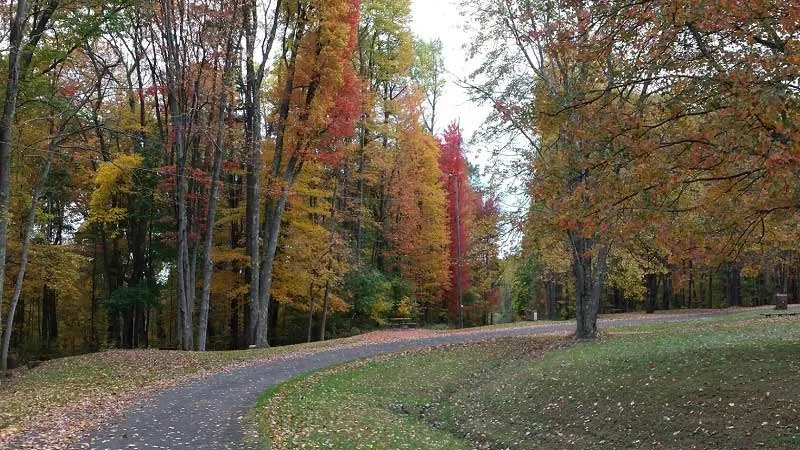 Jefferson Lake Campground
