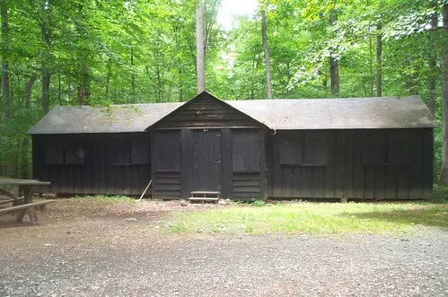 Cabin Camp 3