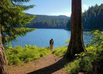 Mineral Camp Campground
