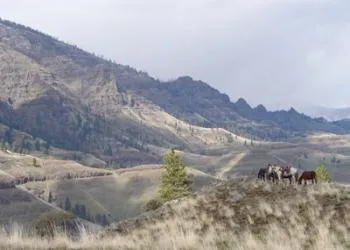 Seven Devils Campground