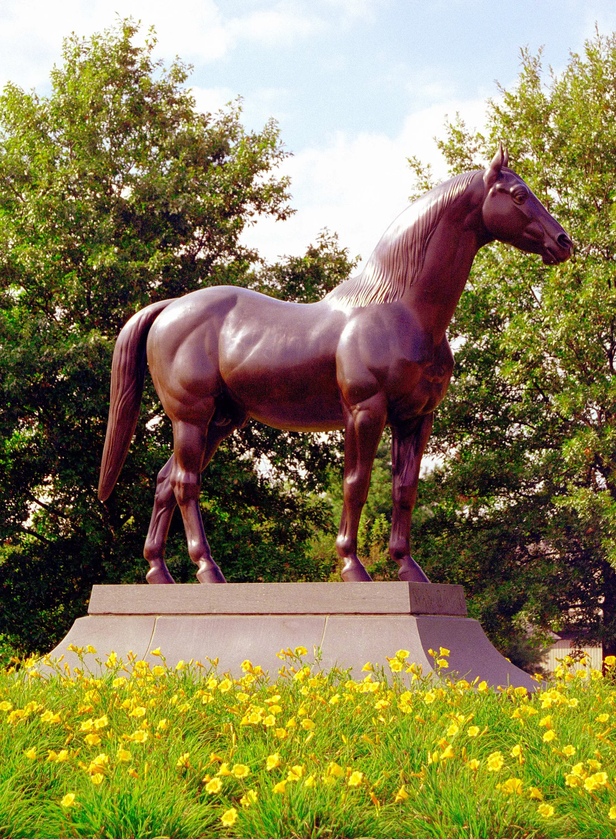 Kentucky Horse Park