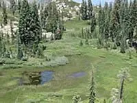 Deadlun Campground