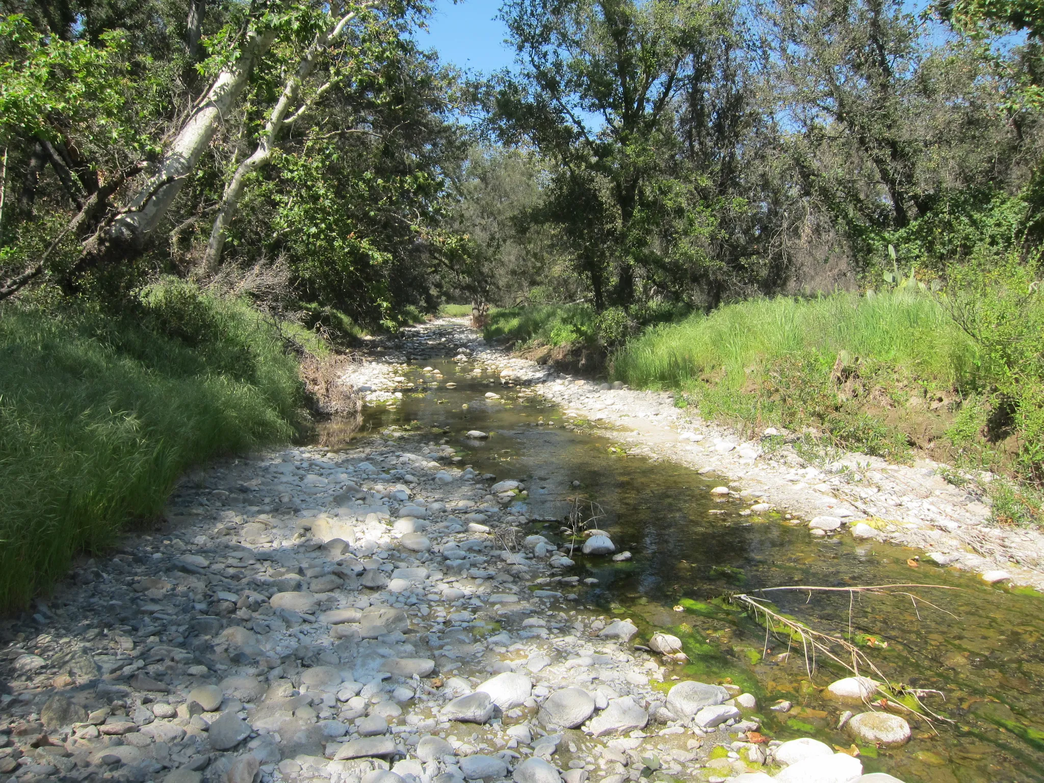 Ronald W. Caspers Wilderness Park