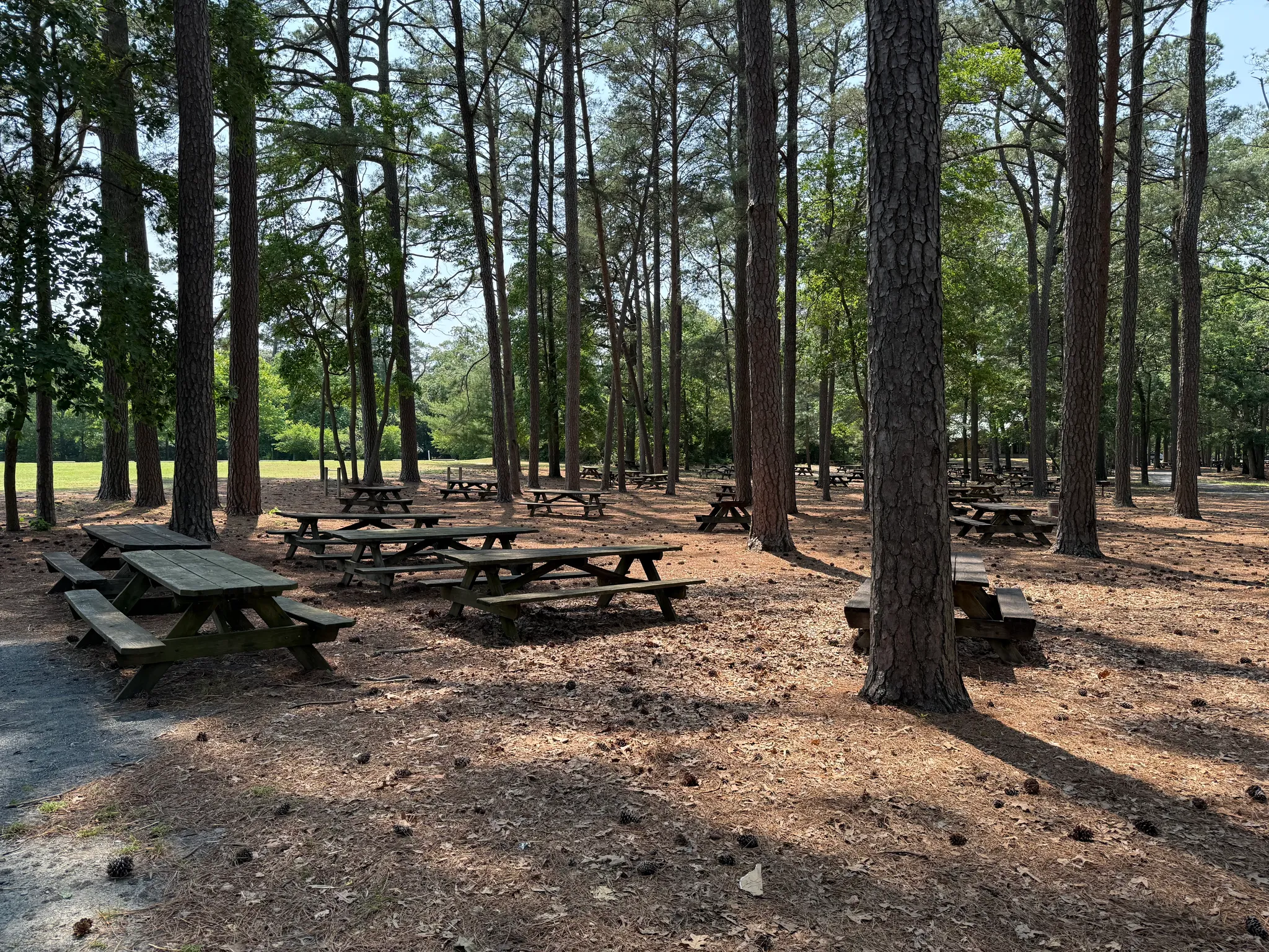 Trap Pond State Park