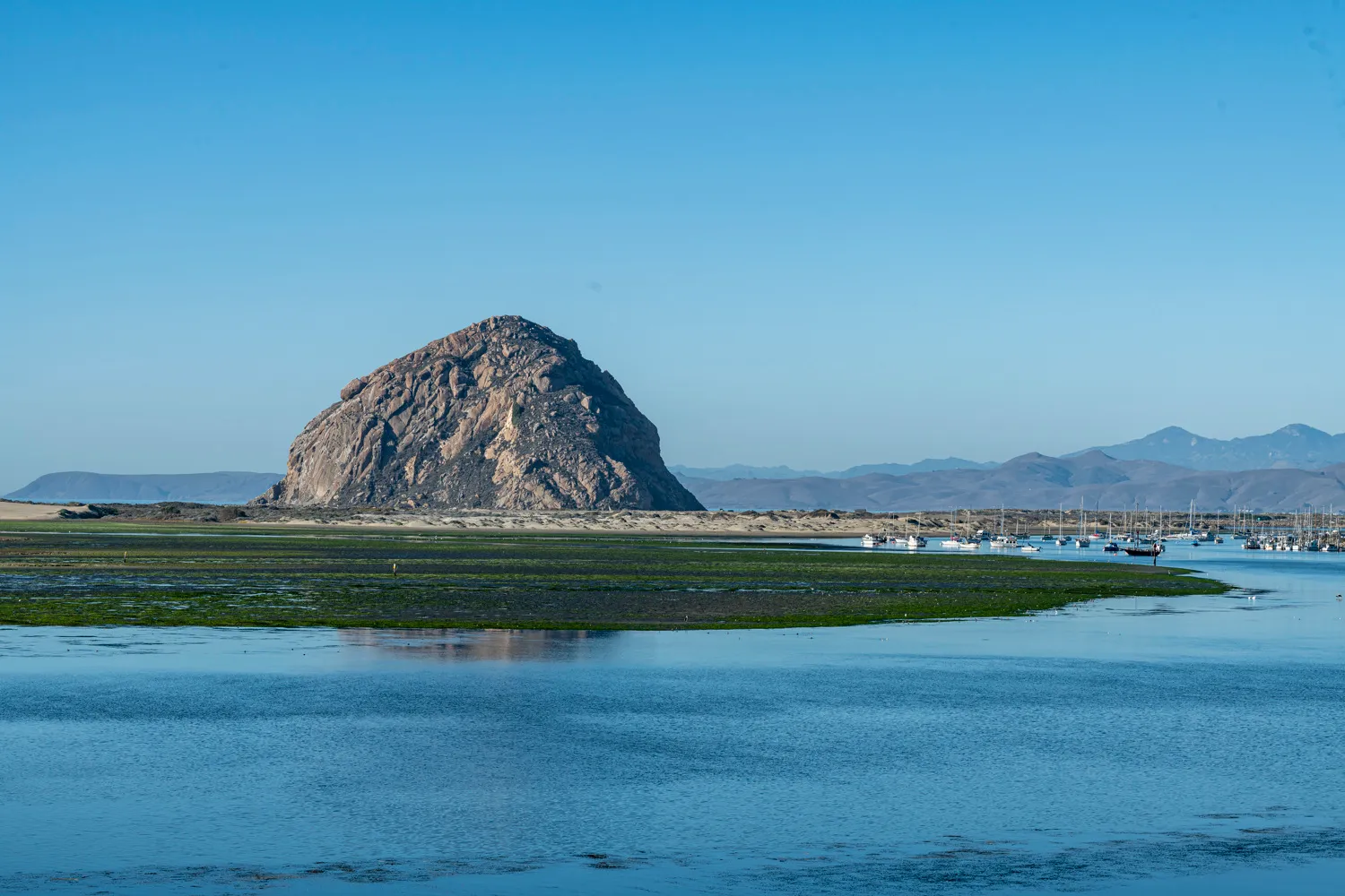 Morro Bay State Park Campground