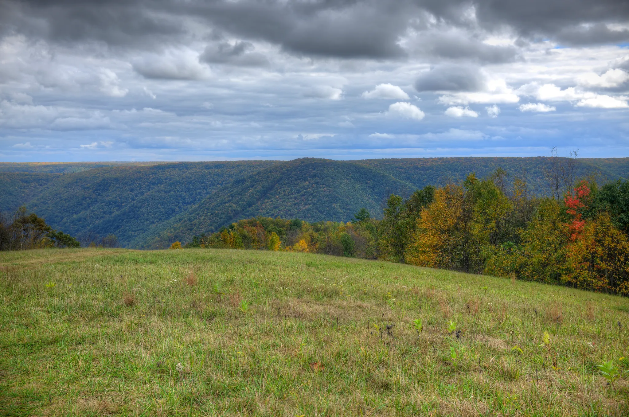 Sproul State Forest