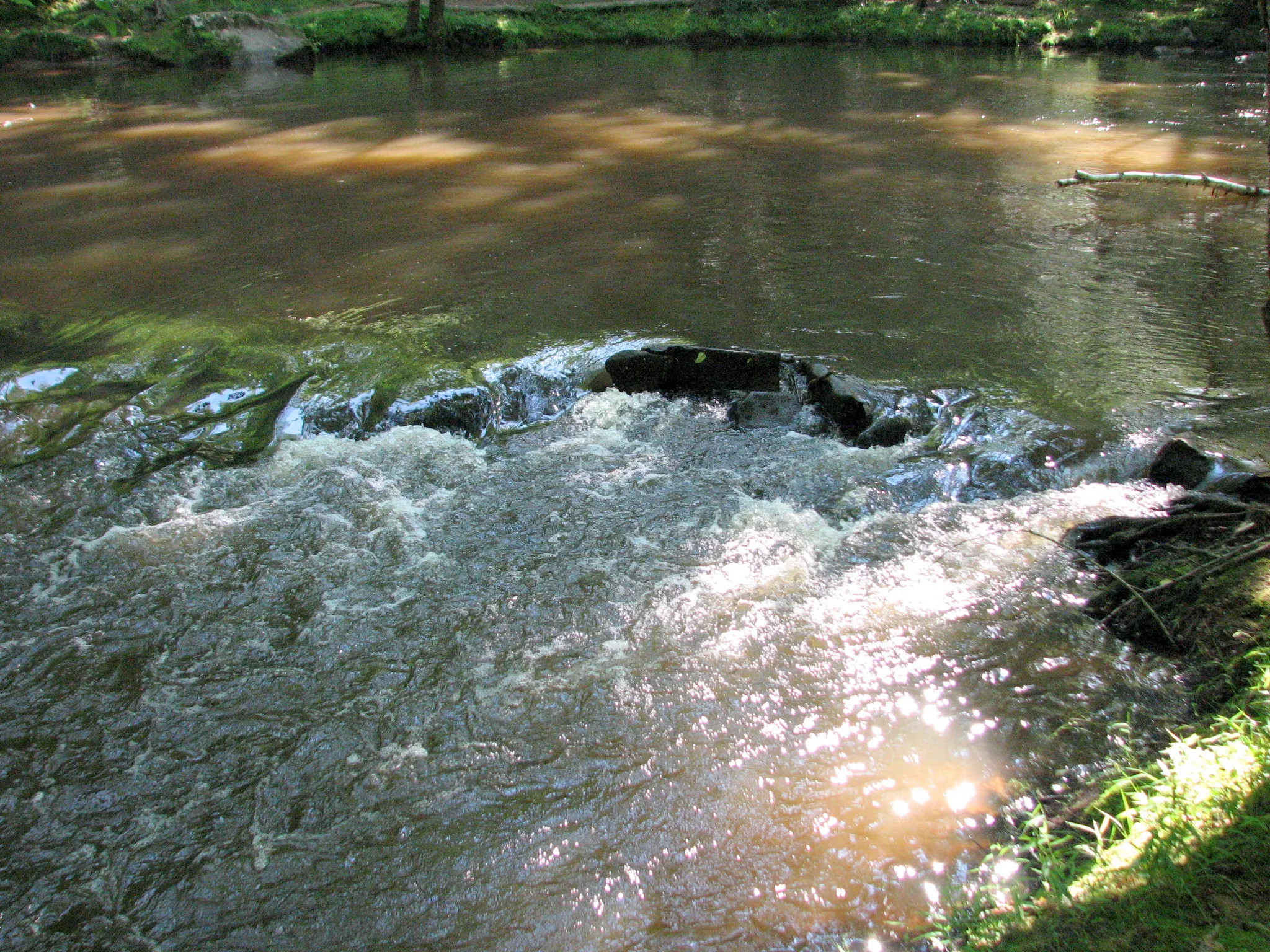 William B. Umstead State Park