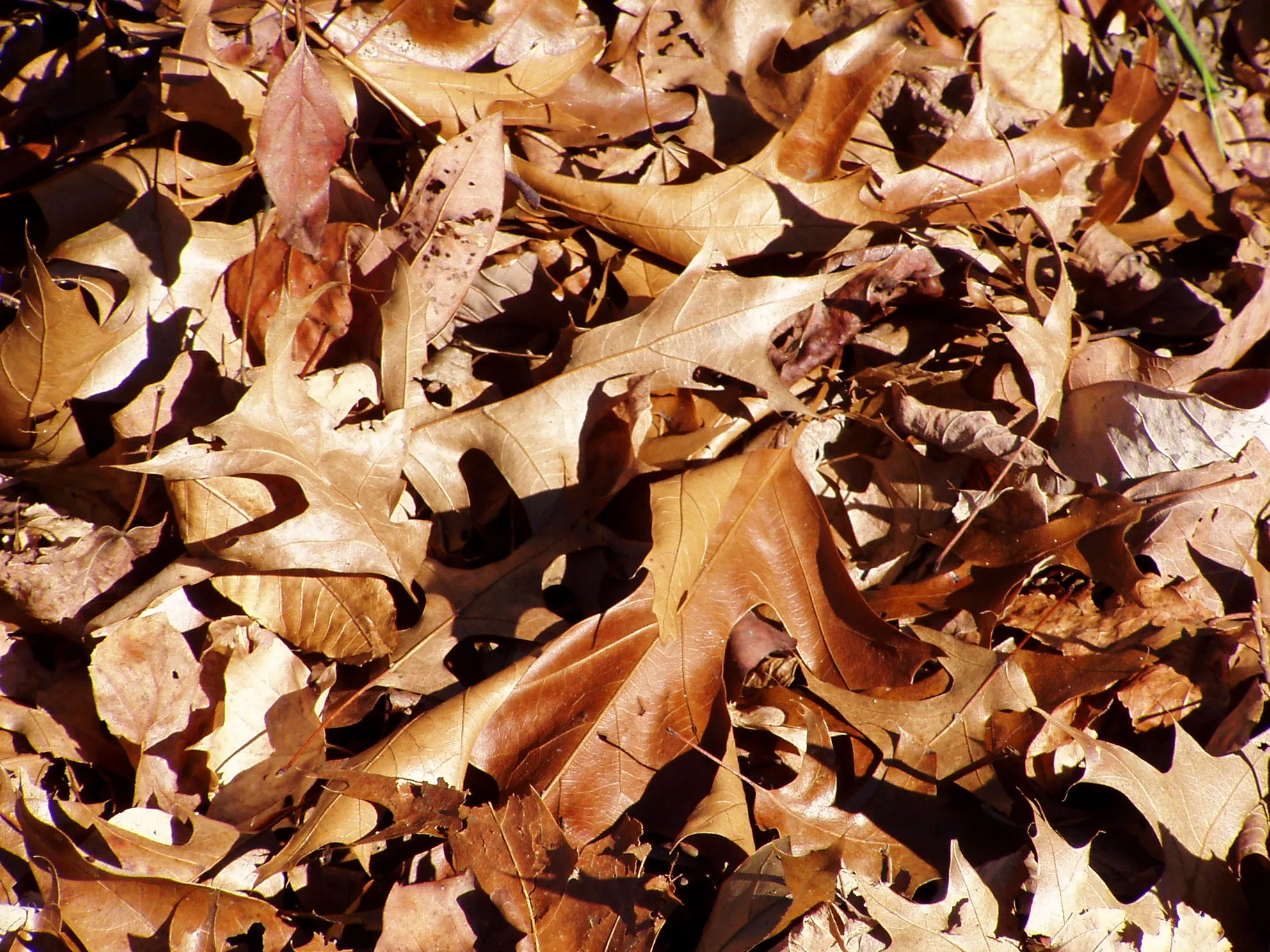 Shakamak State Park