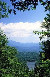Vogel State Park