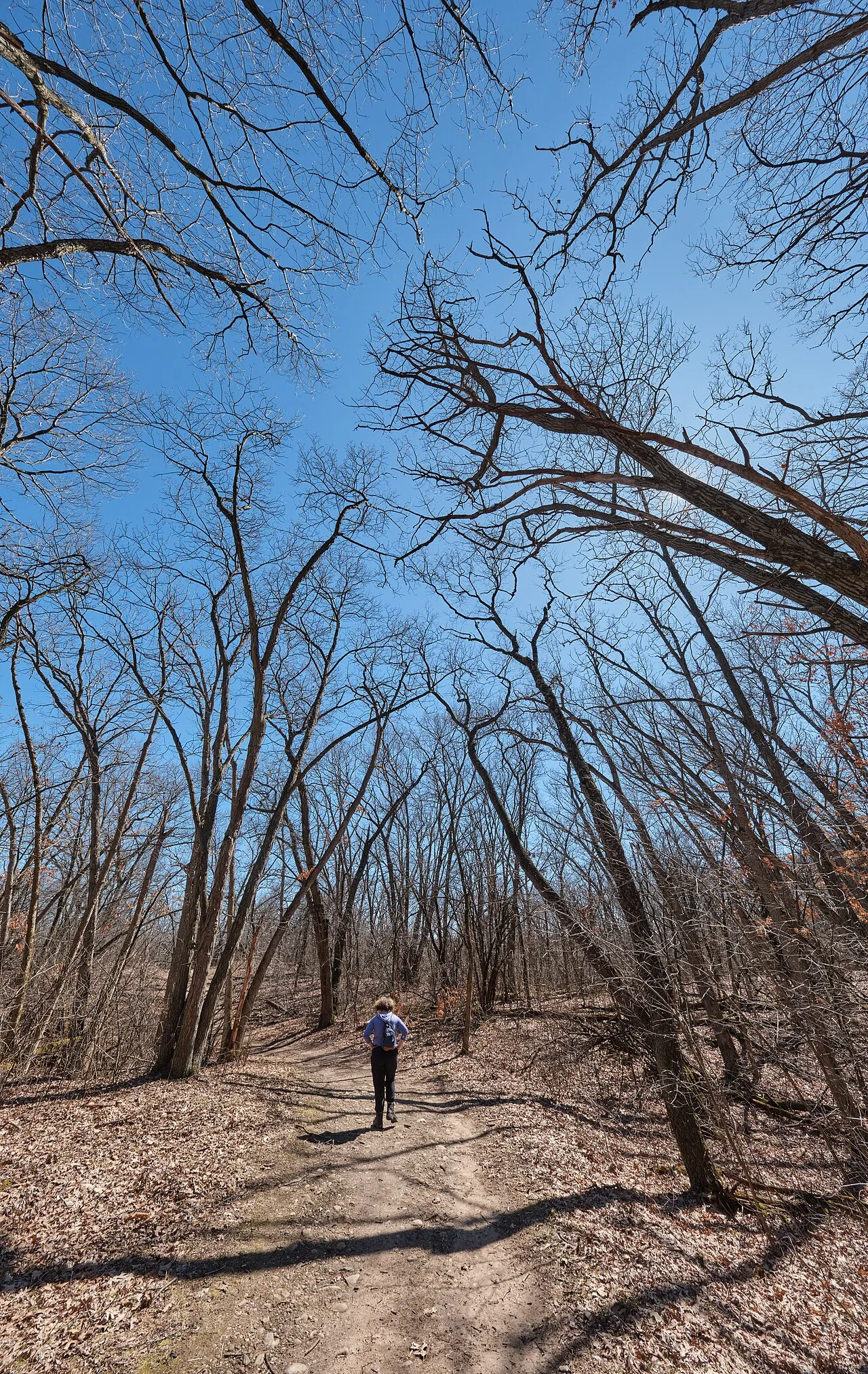 Kettle Moraine State Forest - Southern Unit