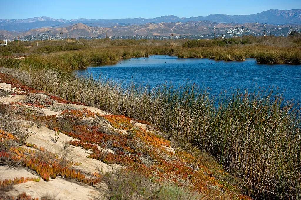 Mcgrath State Beach Campground