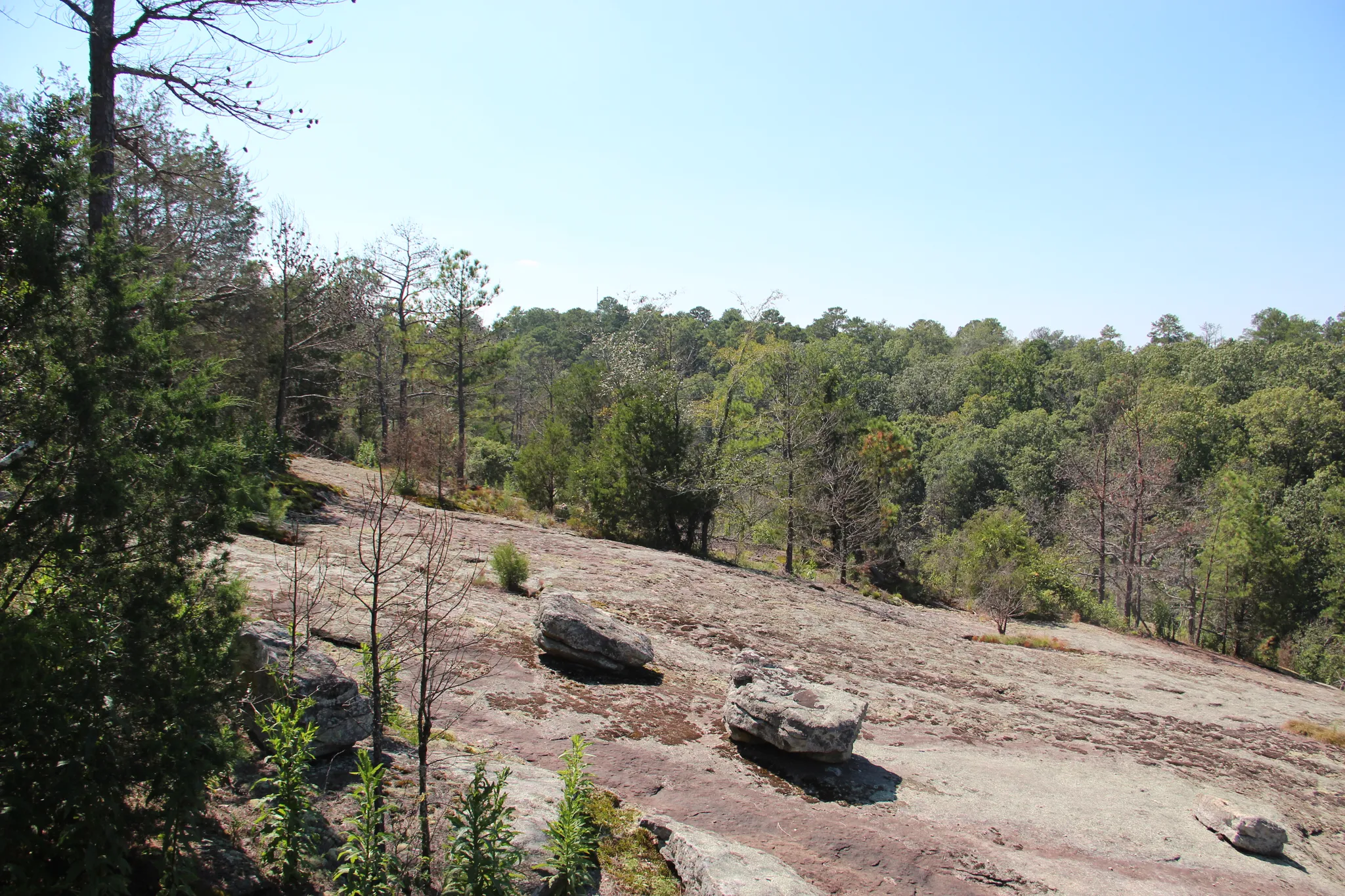 Panola Mountain State Park