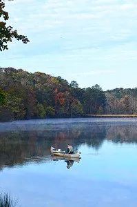Panola Mountain State Park