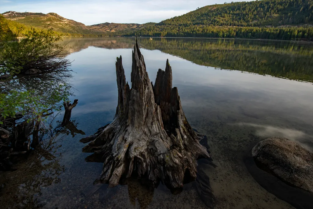 Donner Memorial State Park Campground