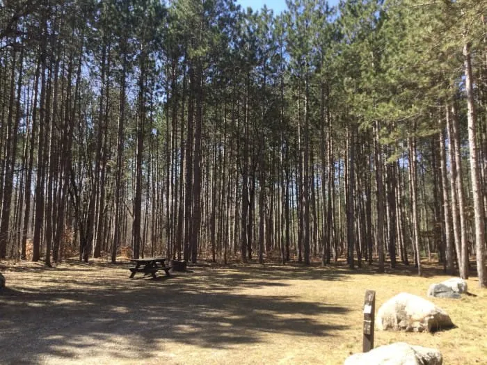 Carrieville State Forest Campground