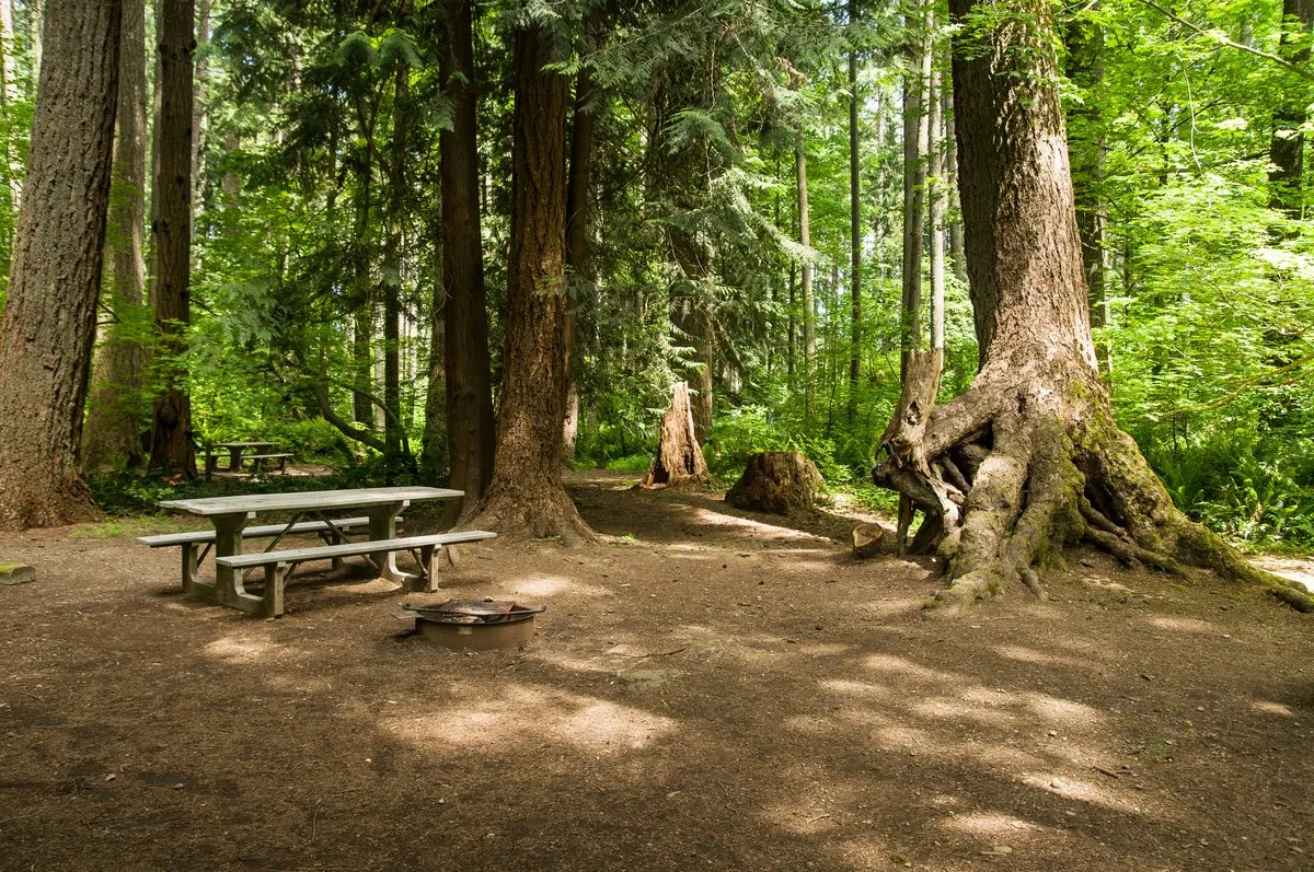 Millersylvania State Park